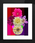 Les fleures de Carolina
