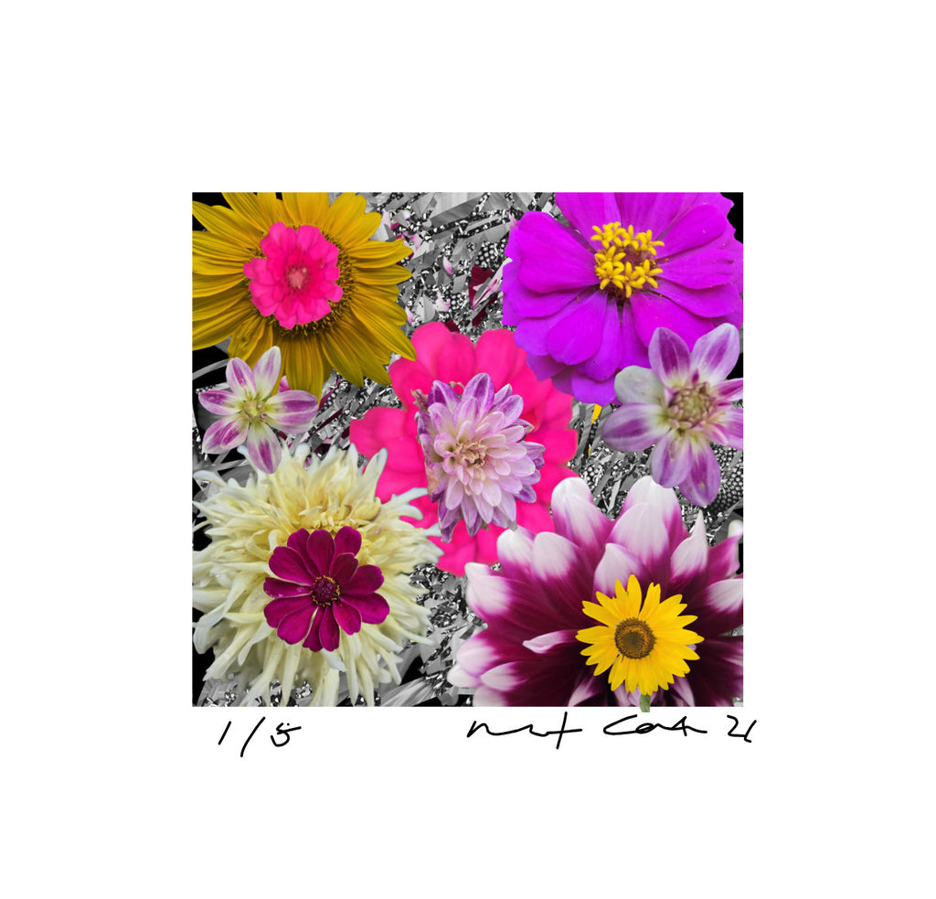 Les fleures de Carolina